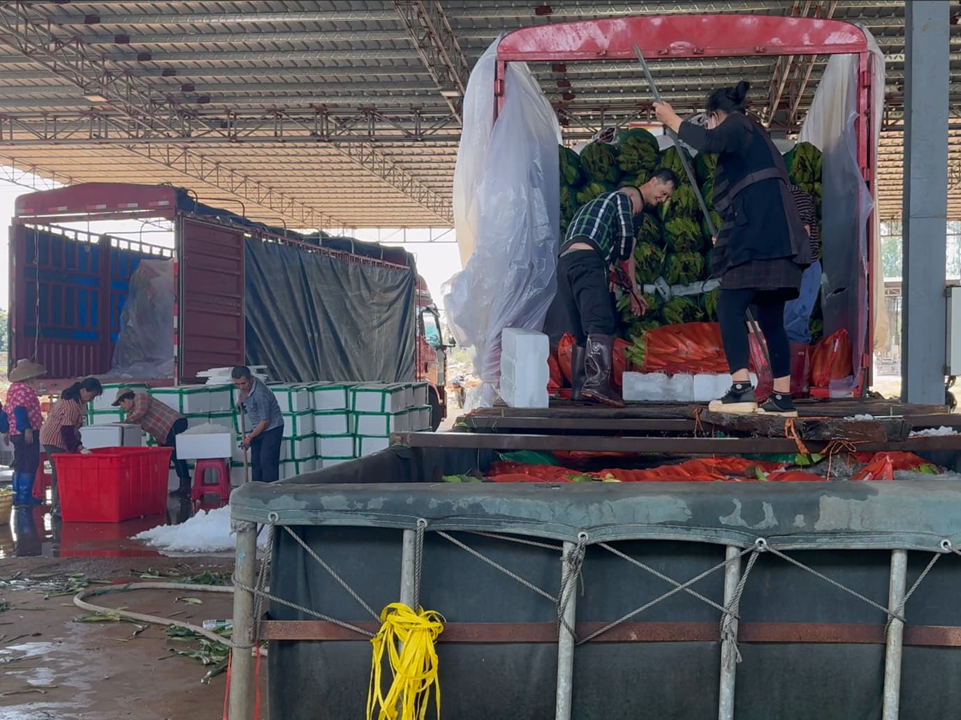 Ice Block for Fresh Produce Transportation