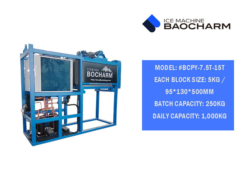 BAOCHARM Small Block Ice Machine Test Run