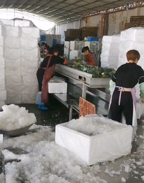 ice manufacturing